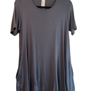 NWOT Isaac Liev steel‎ gray short sleeve tunic, size large
